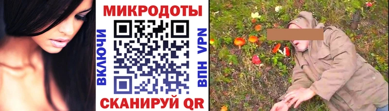 Псилоцибиновые грибы GOLDEN TEACHER  Темрюк 